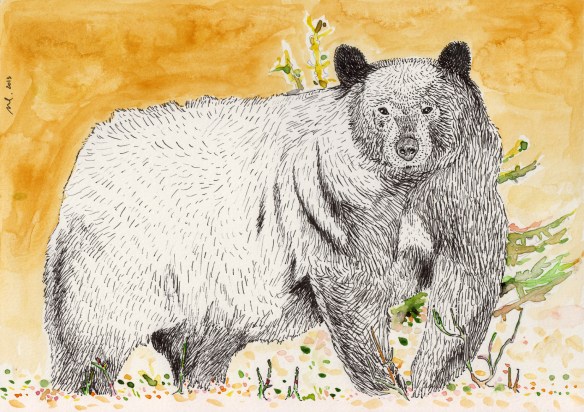 Black-Bear-Color-300dpi-contrast-small