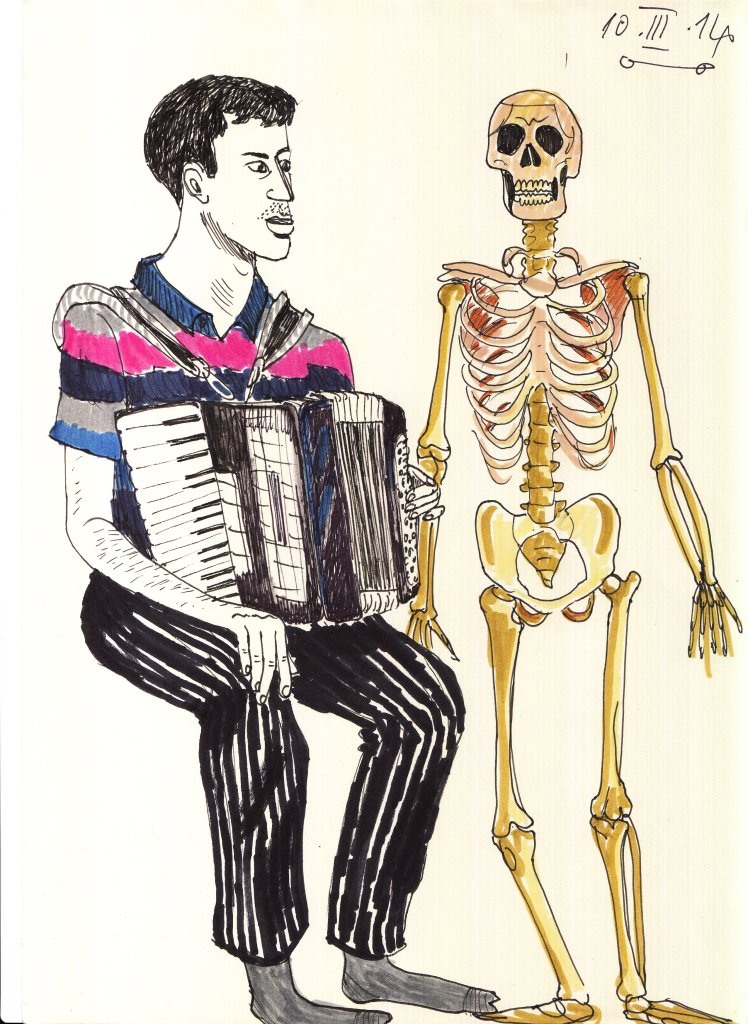 Accordion & skeleton